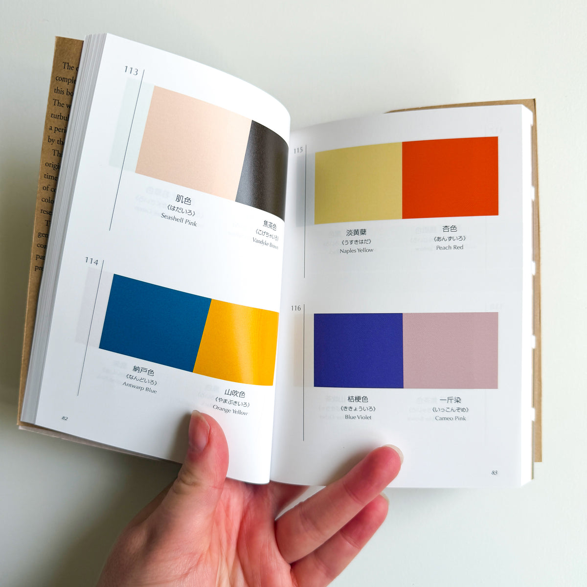 A Dictionary of Color Combinations Vol 1 & 2