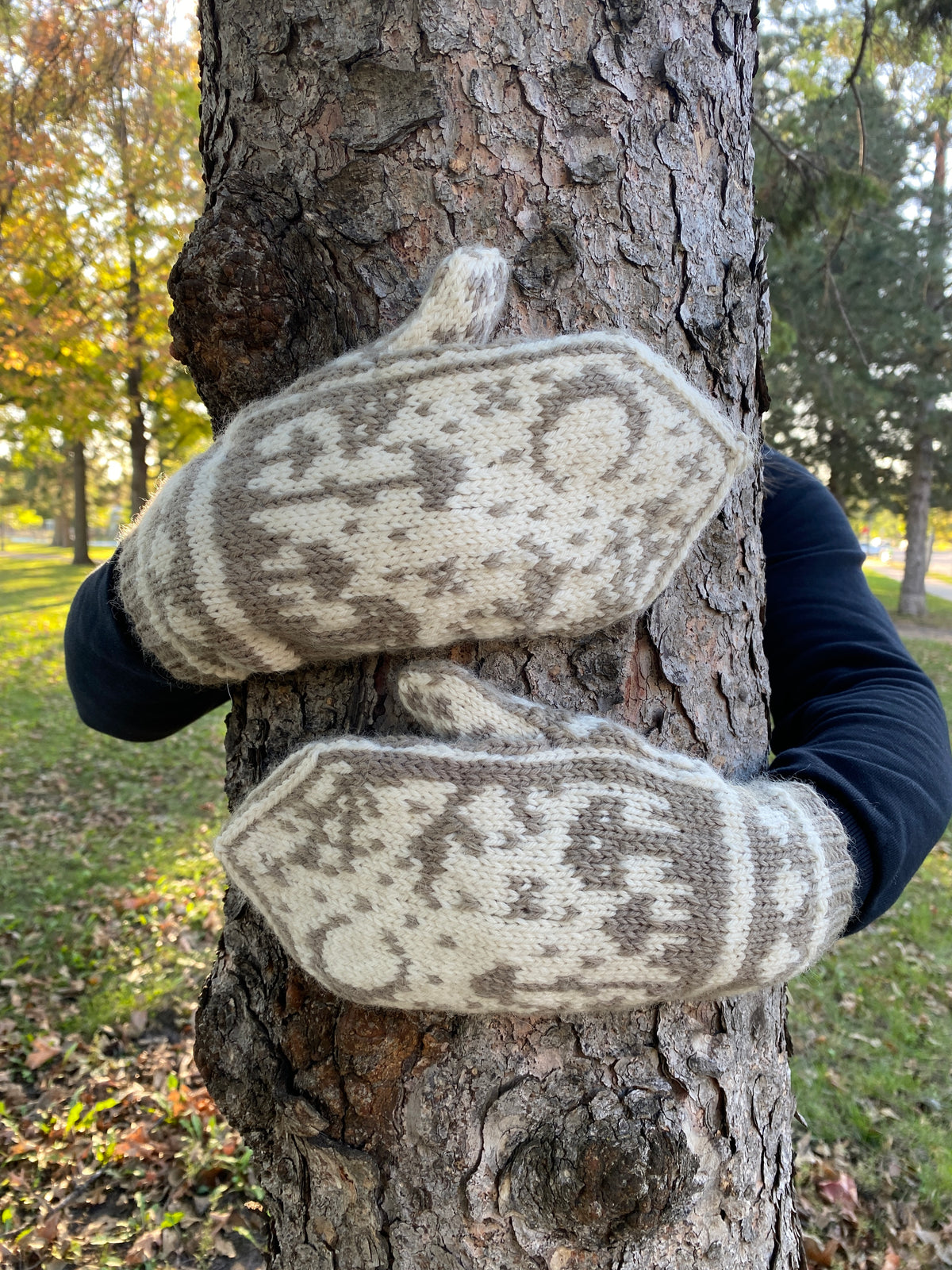 Harvest Moon Mushroom Mittens - Digital Knitting Pattern