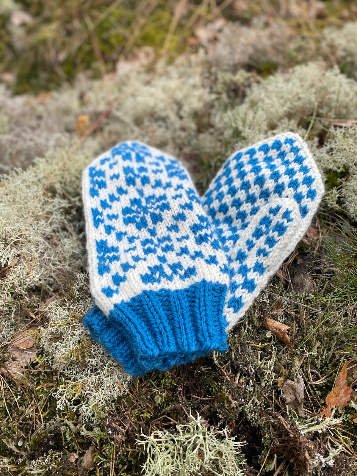 Reinrose Mittens - Digital Knitting Pattern
